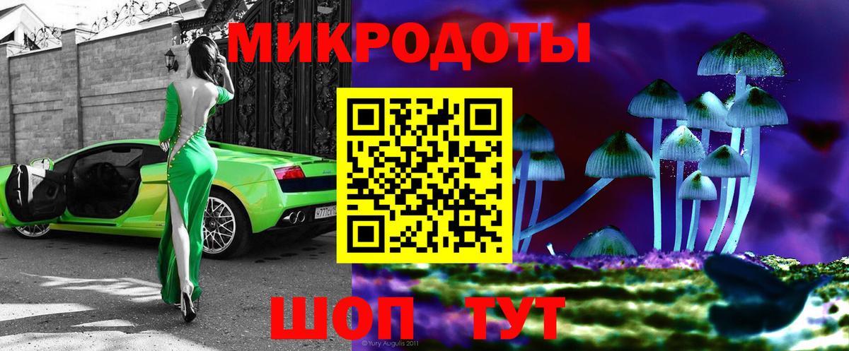 Псилоцибиновые грибы мухоморы Великий Устюг